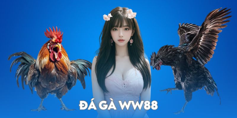 đá gà ww88